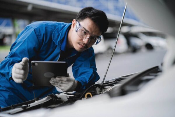 Professional Car Inspection